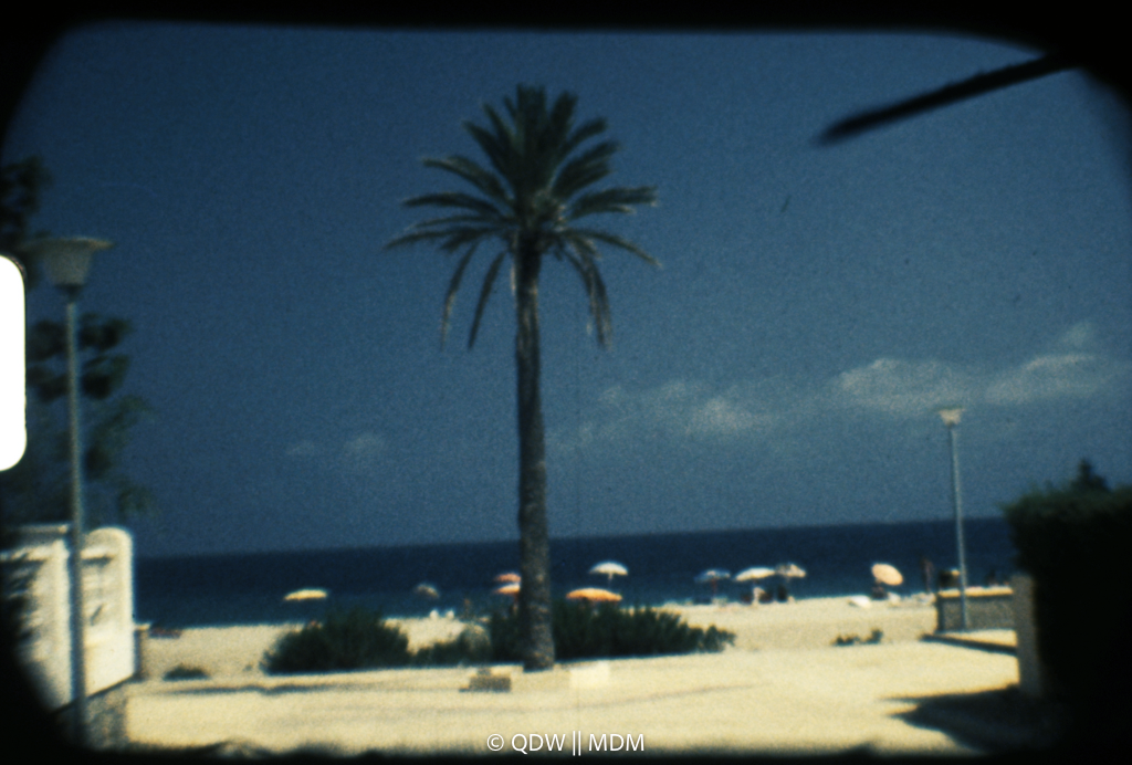Frame 0024