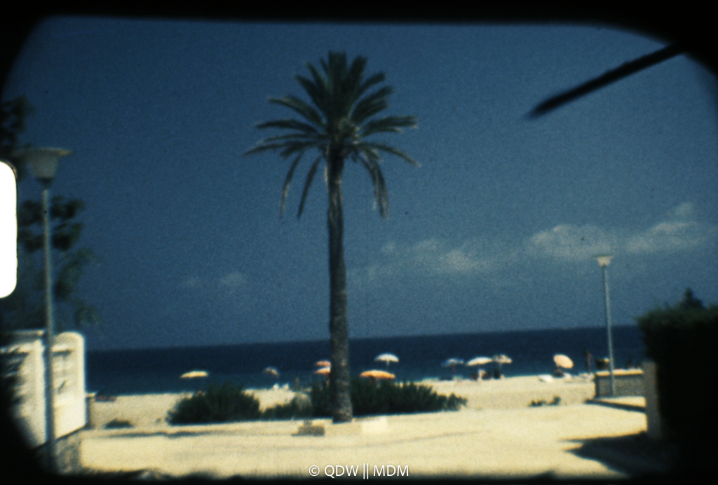 Frame 0025