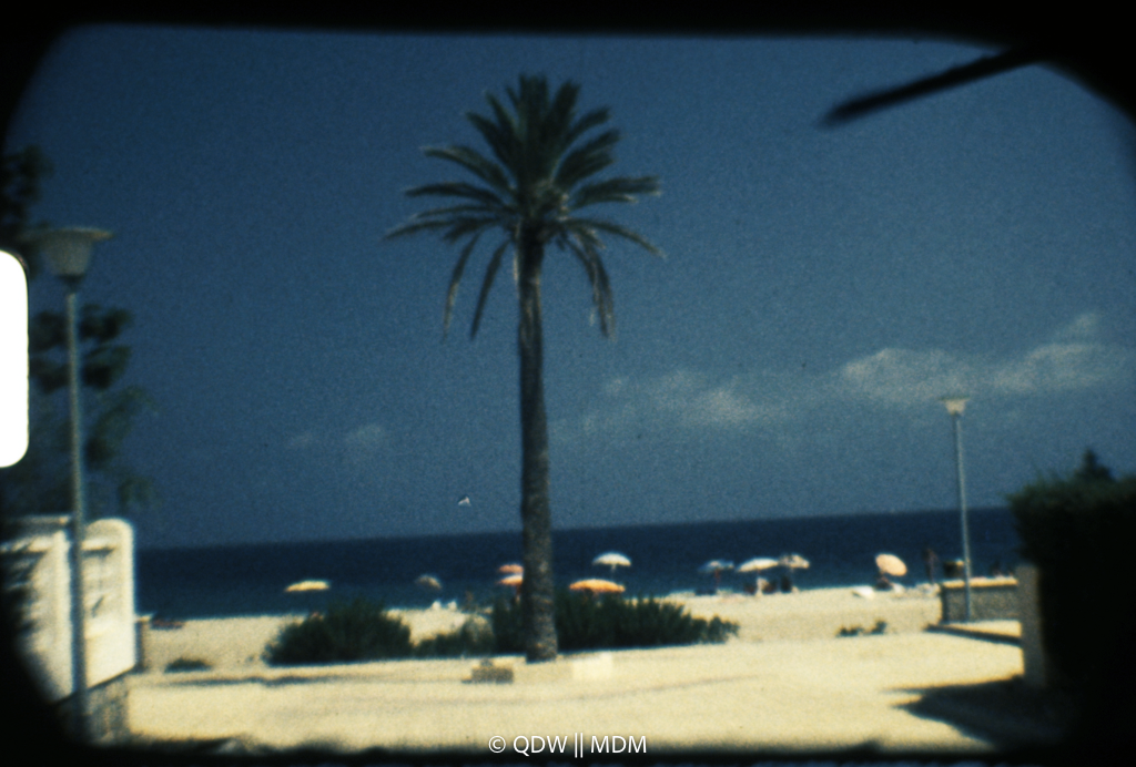 Frame 0026
