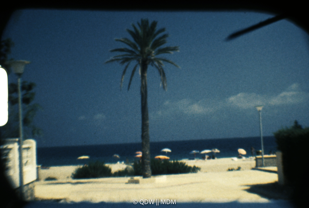 Frame 0027
