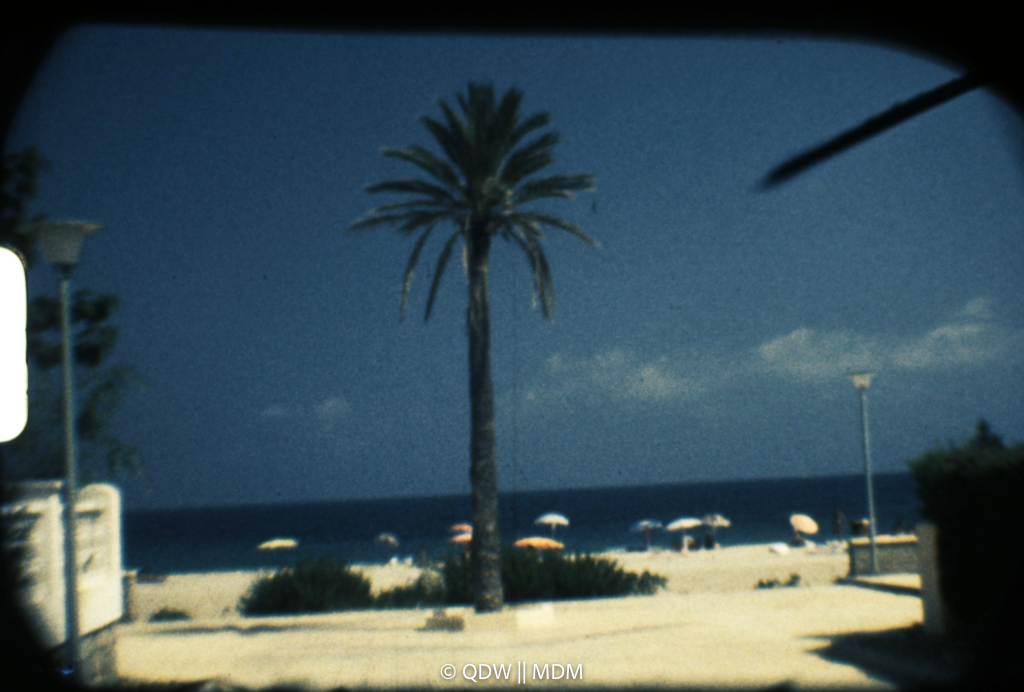 Frame 0029