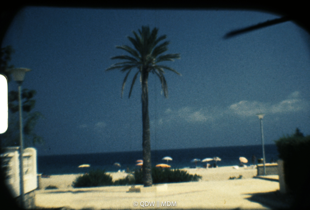 Frame 0030