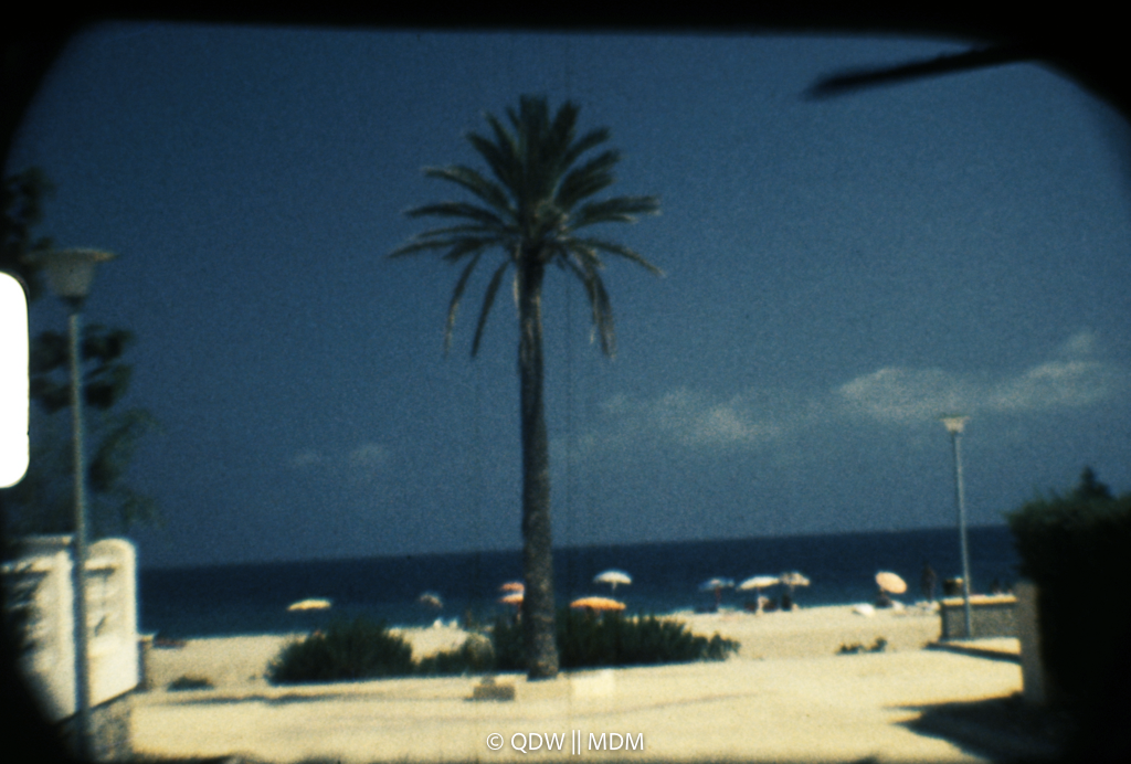 Frame 0031