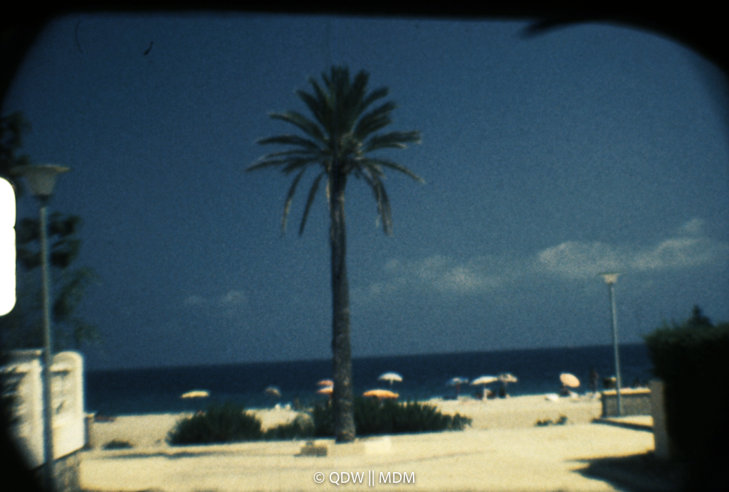 Frame 0034