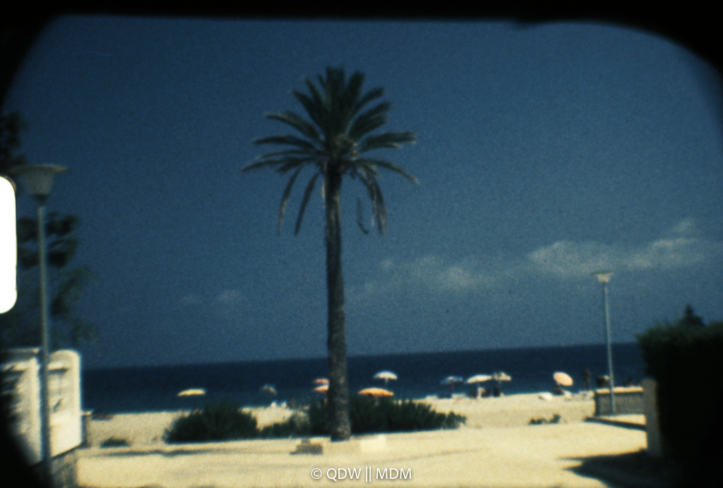 Frame 0036