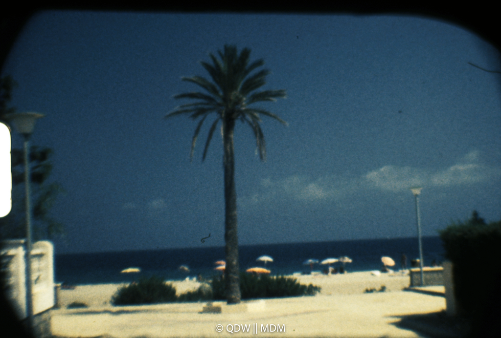Frame 0038