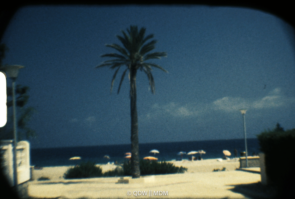 Frame 0041