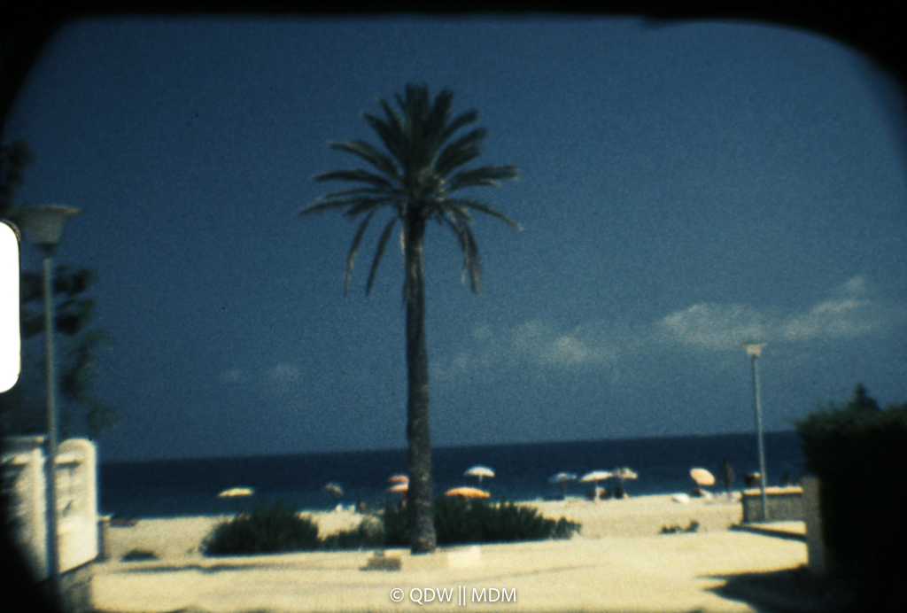 Frame 0047