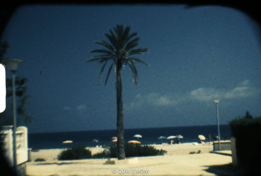 Frame 0049