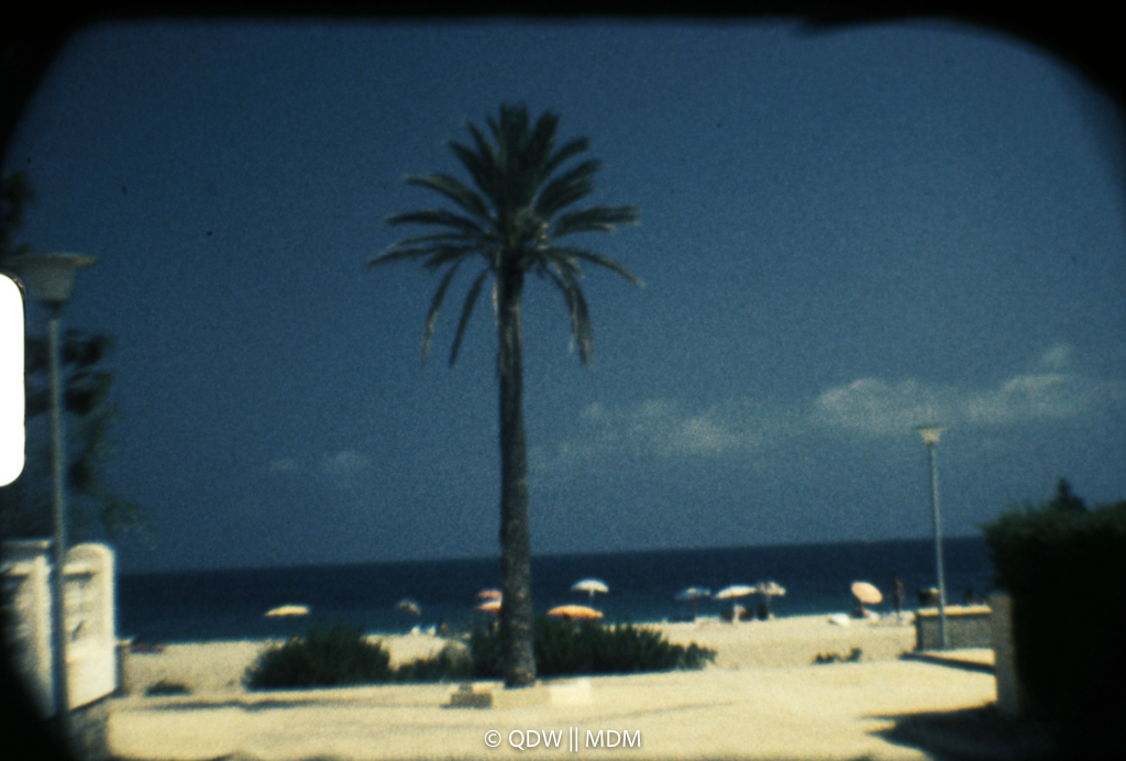 Frame 0051