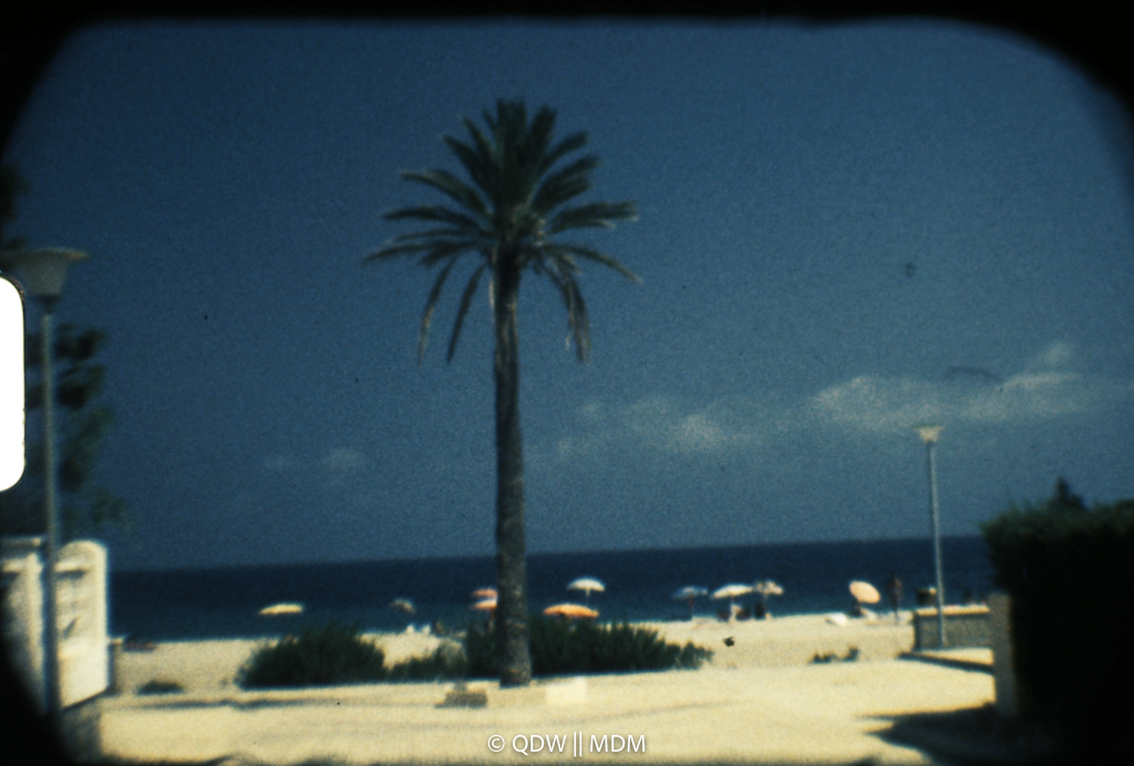 Frame 0055