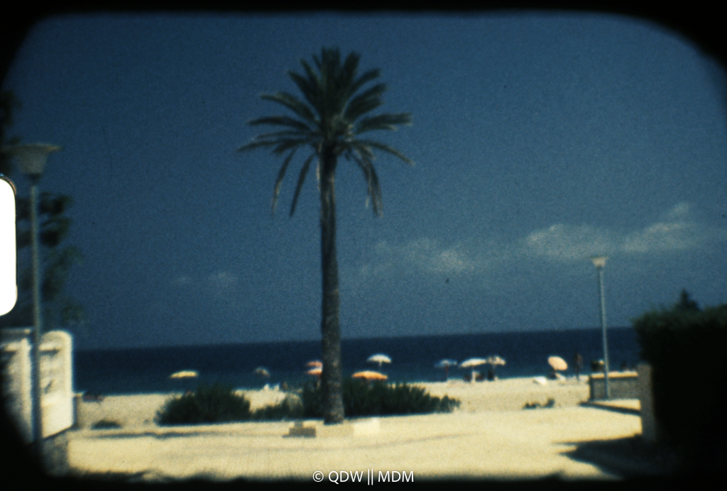 Frame 0058