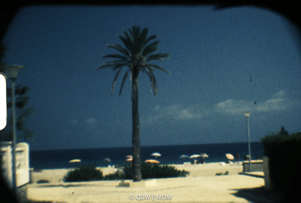 Frame 0065