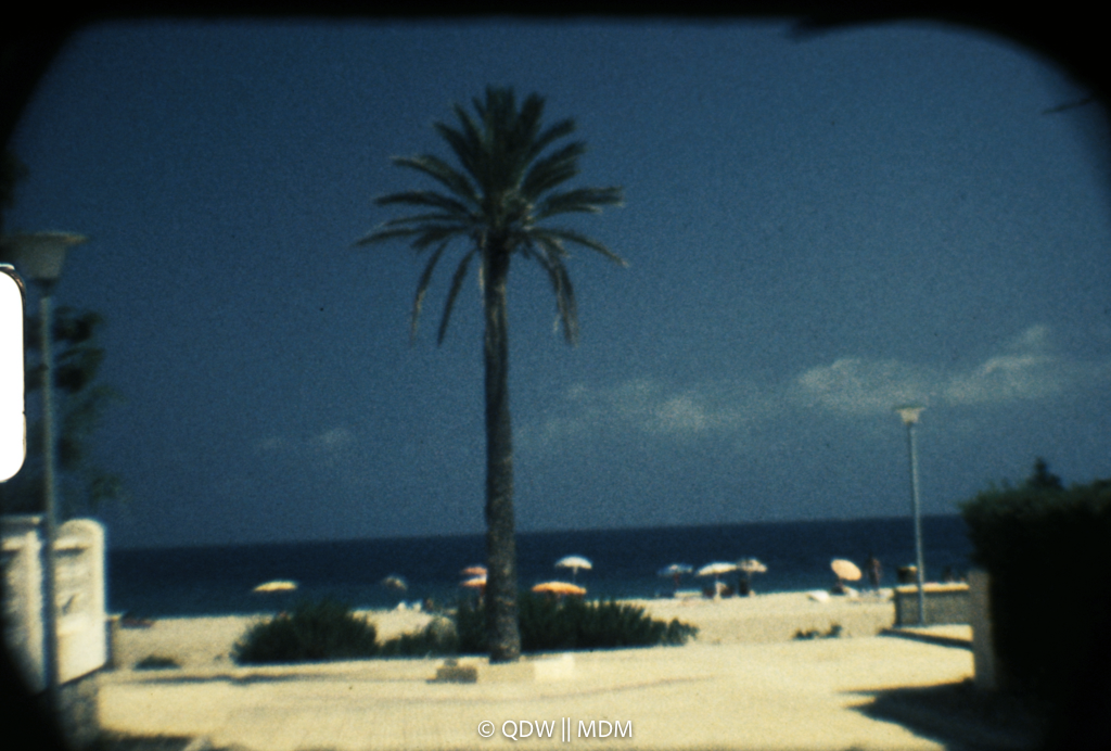 Frame 0071