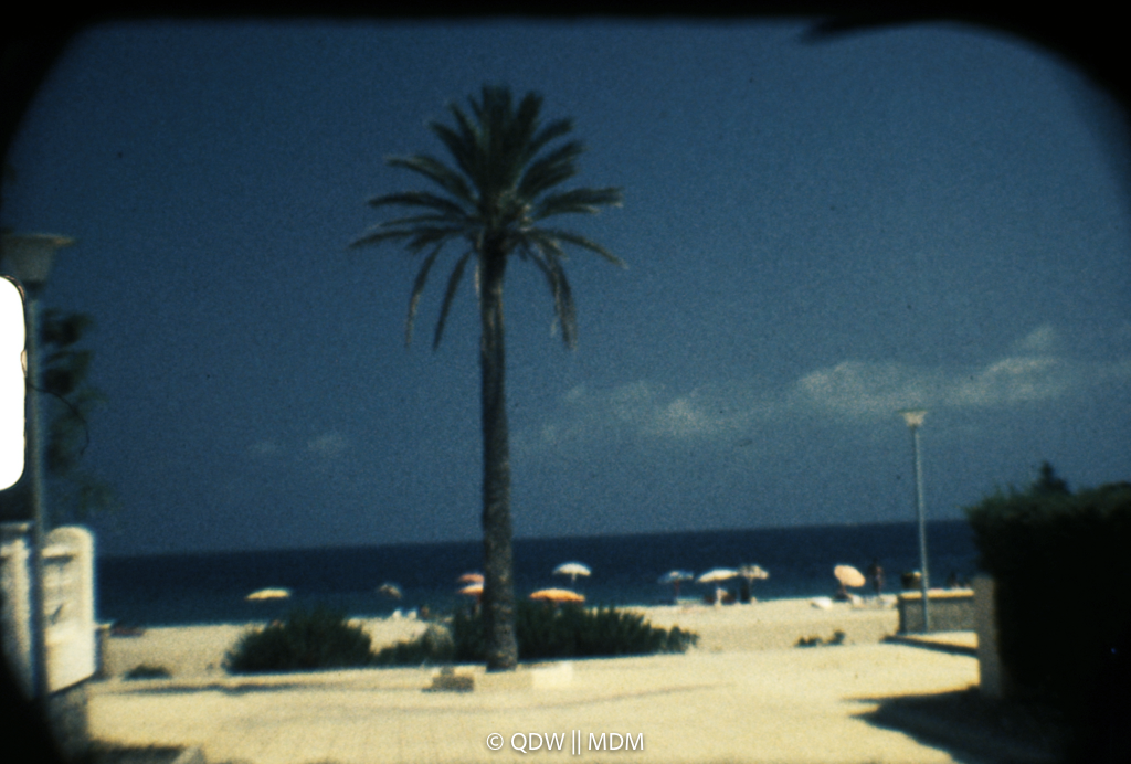 Frame 0075
