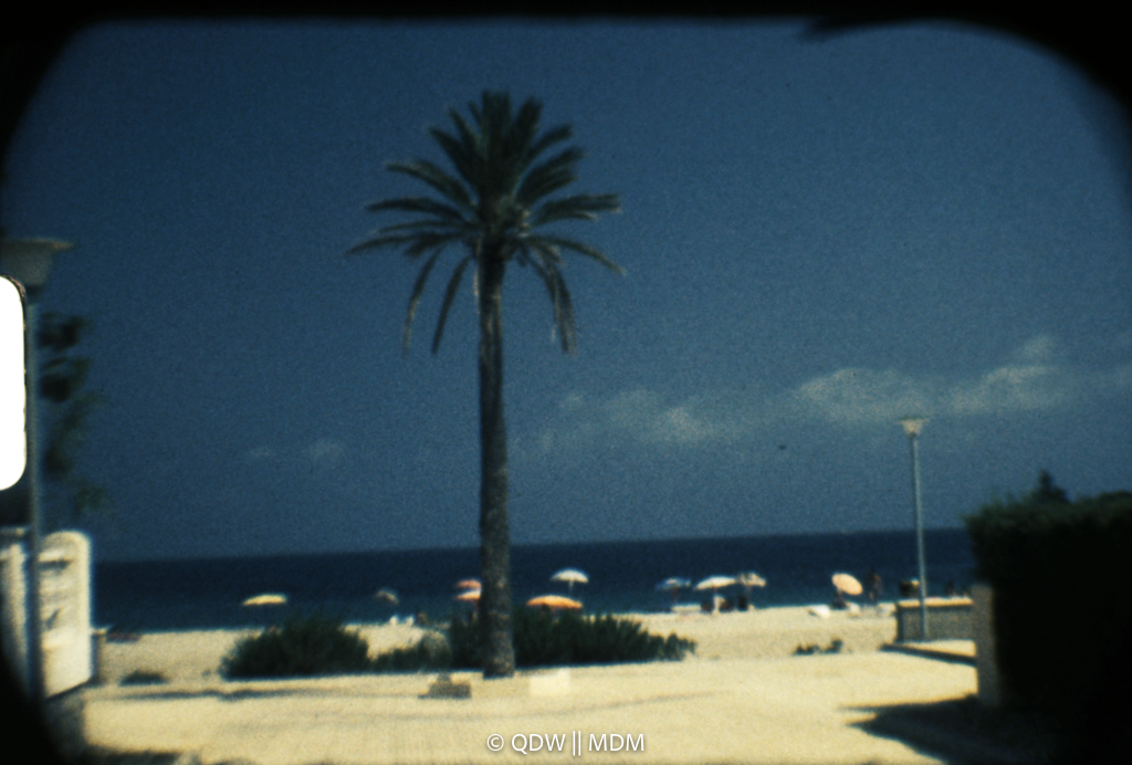 Frame 0082