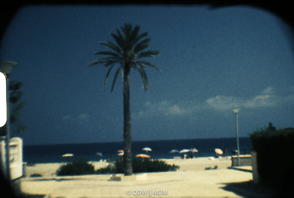 Frame 0087