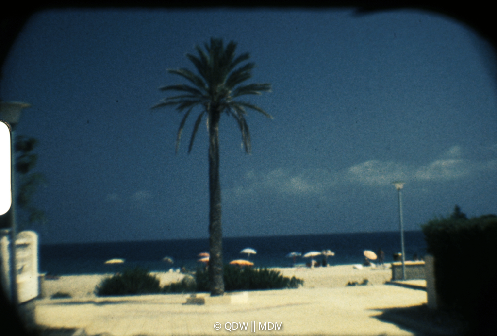 Frame 0090
