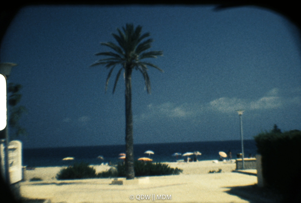 Frame 0095
