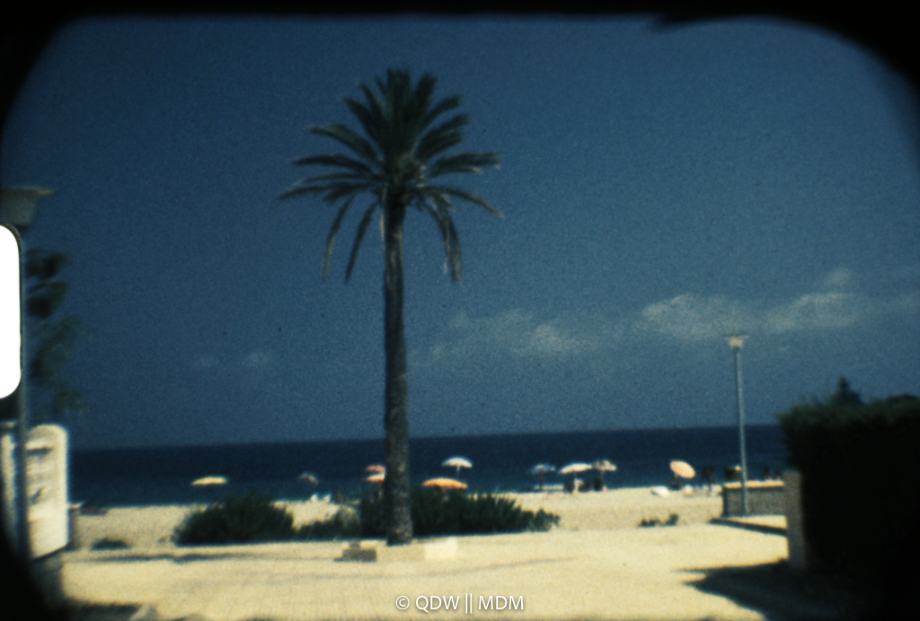 Frame 0102