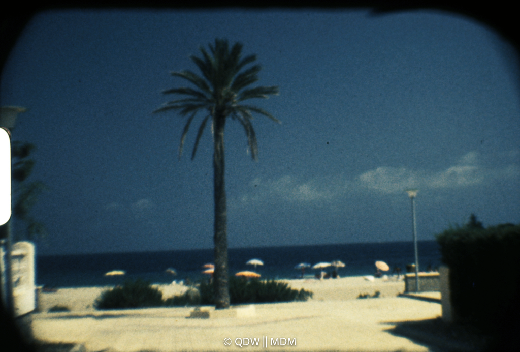 Frame 0105