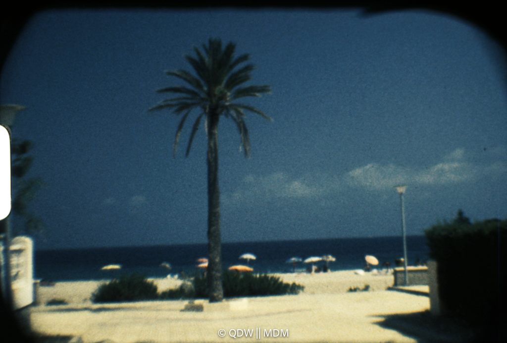 Frame 0106