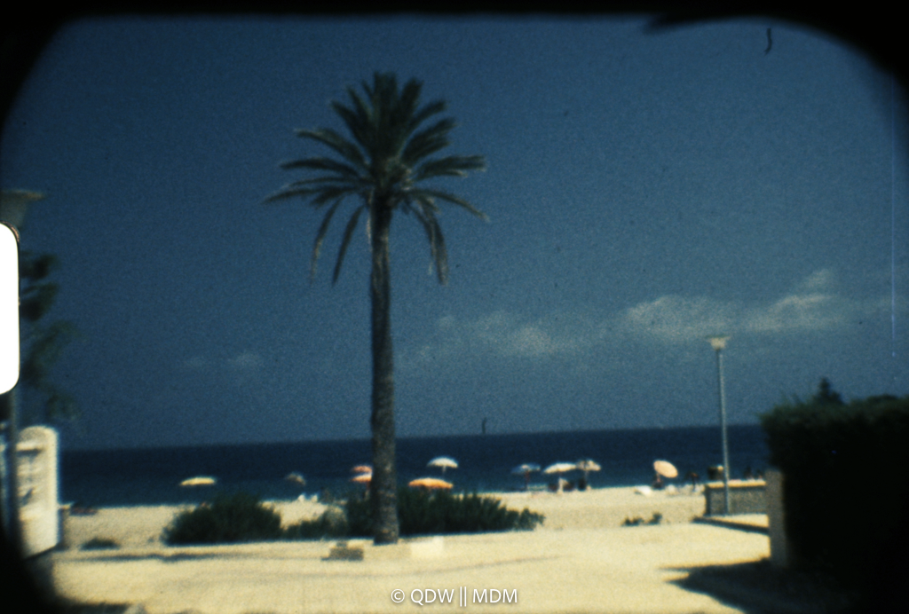 Frame 0107
