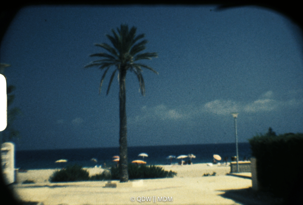 Frame 0113
