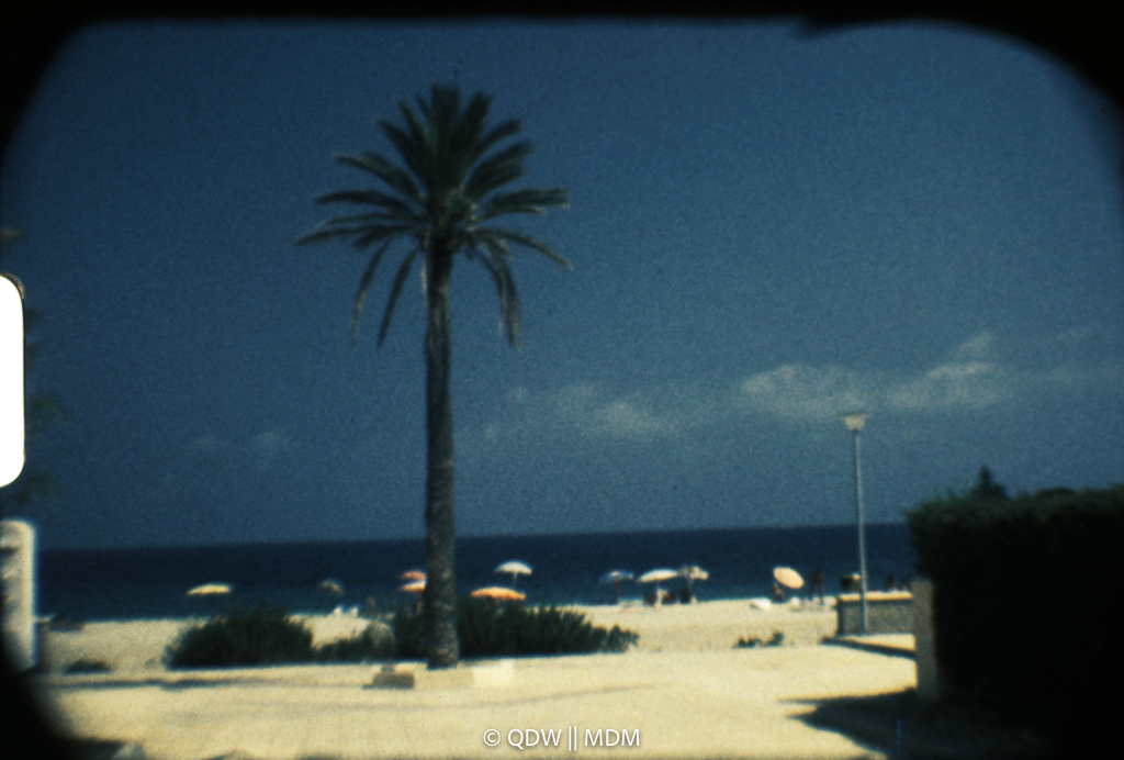 Frame 0118