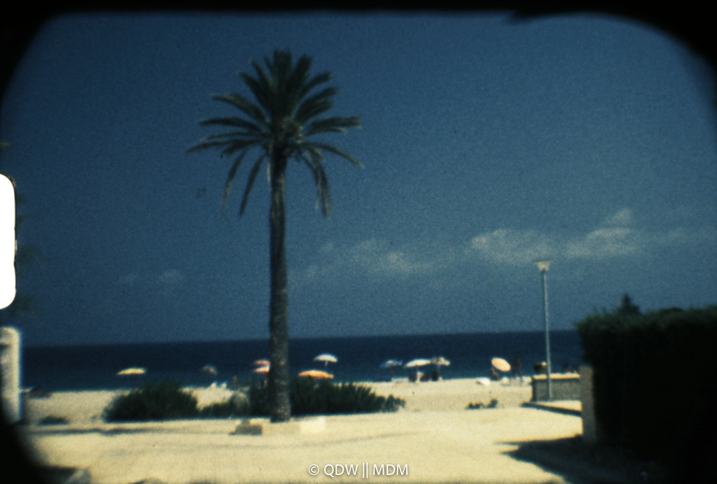 Frame 0121