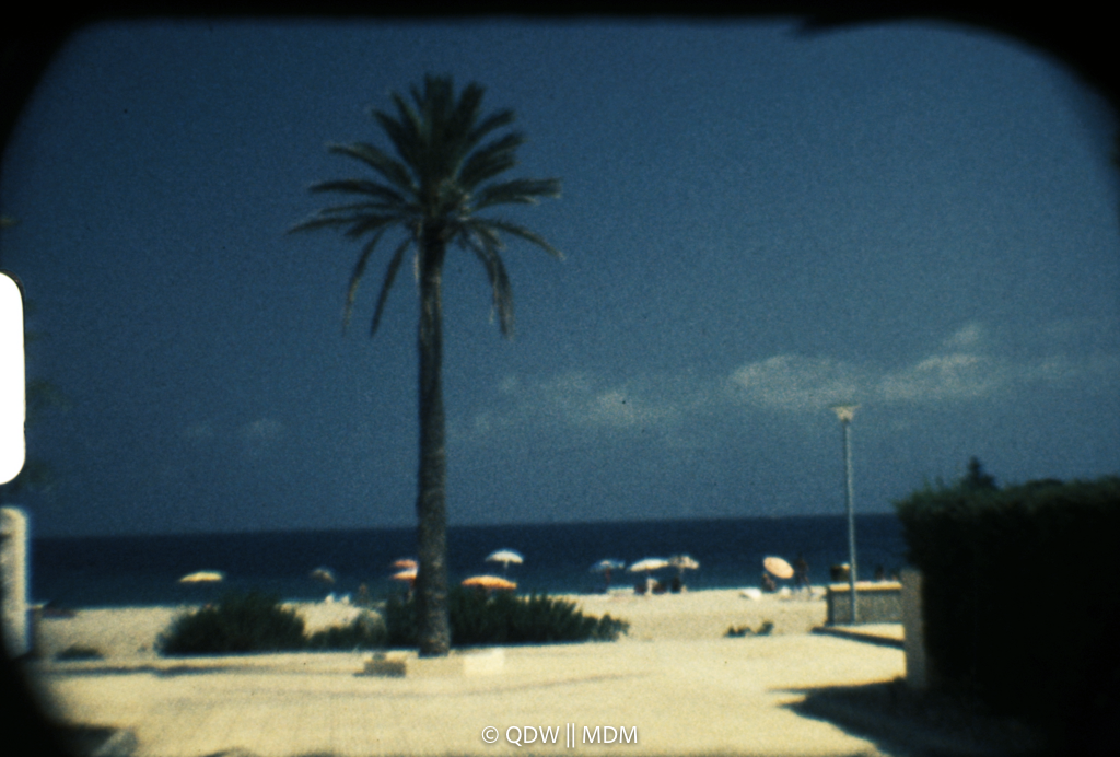 Frame 0123