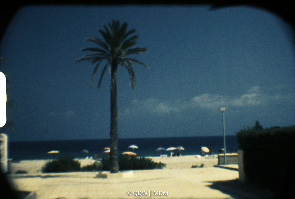 Frame 0124