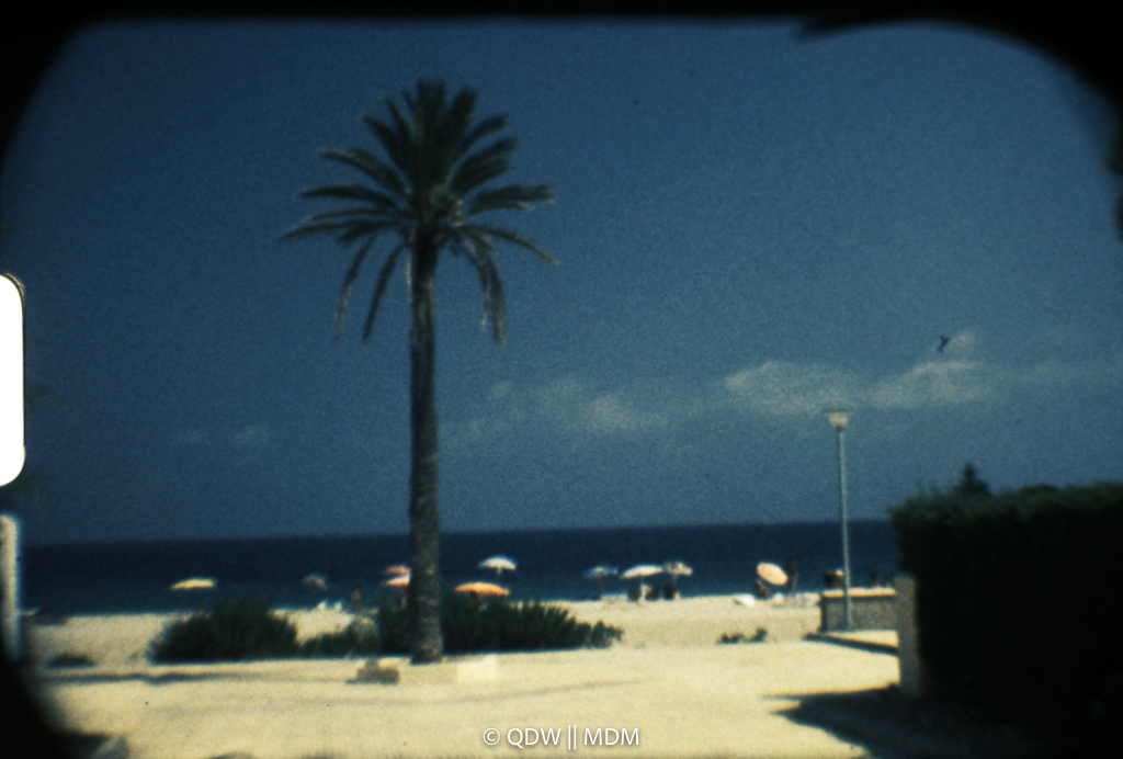 Frame 0128