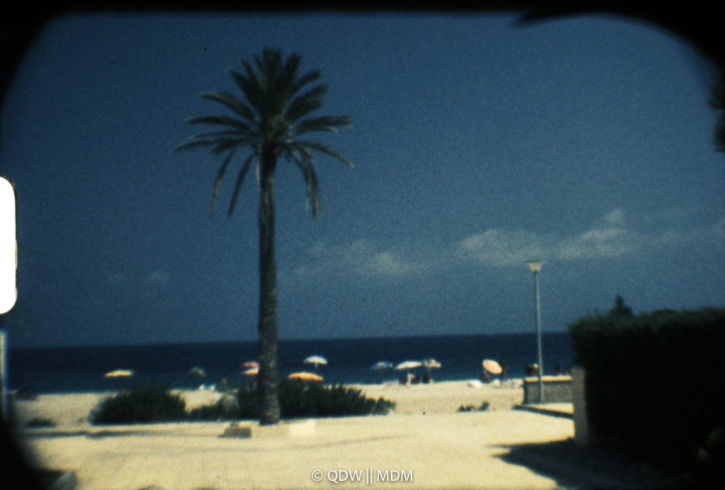 Frame 0133