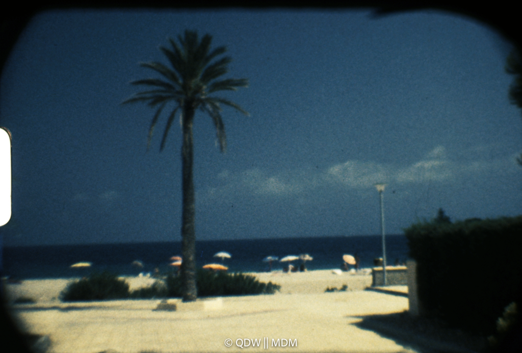 Frame 0136