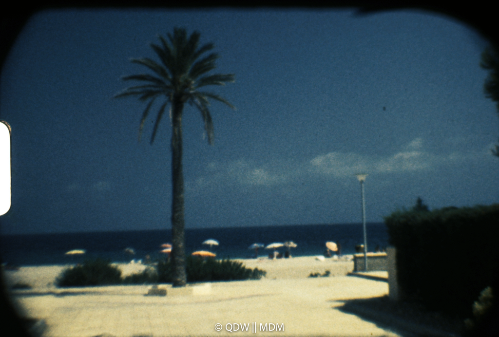 Frame 0138