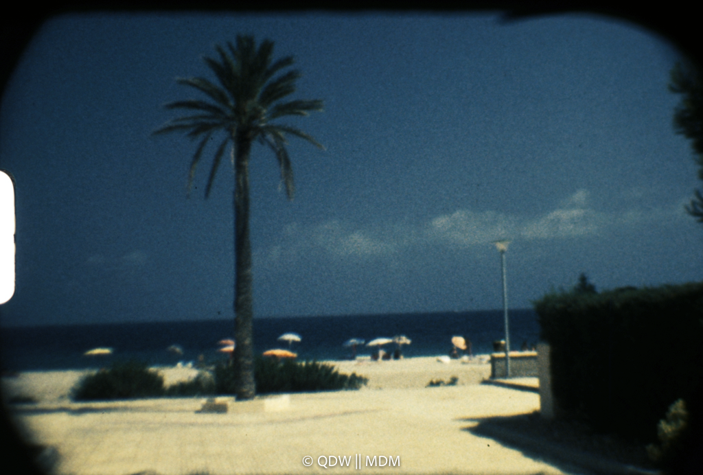 Frame 0143