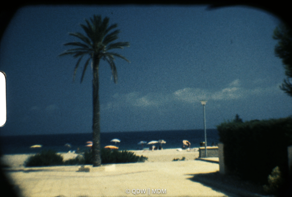 Frame 0148