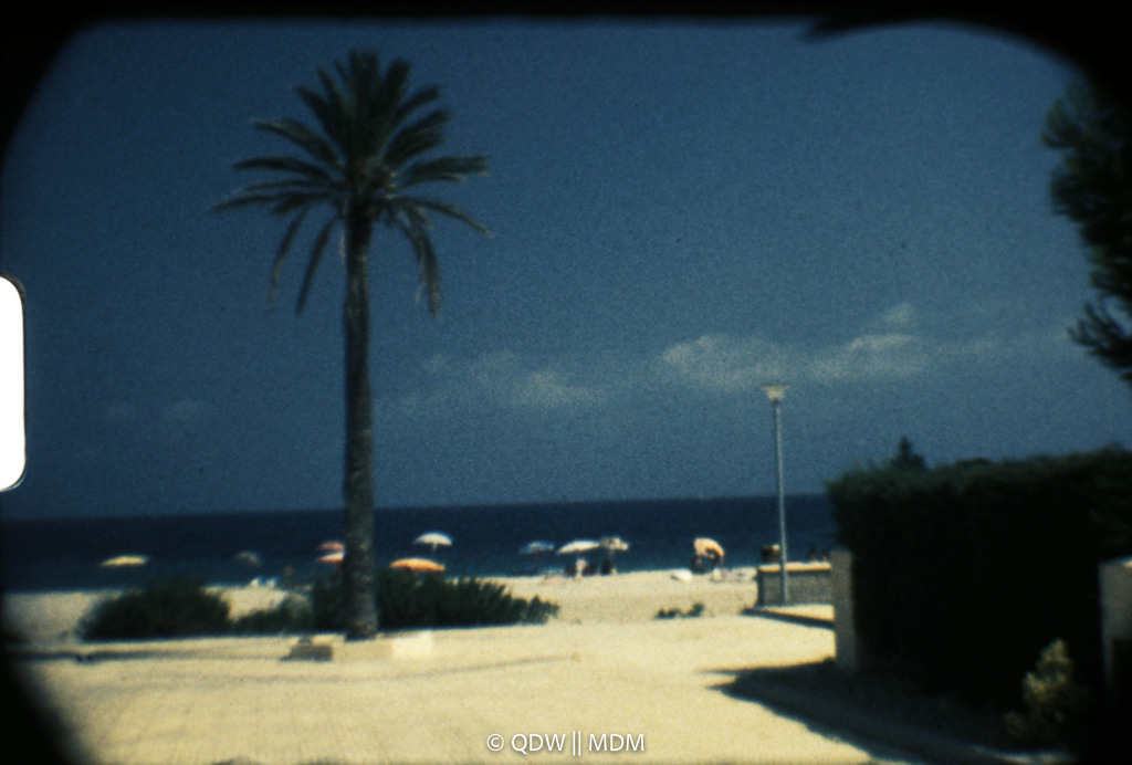 Frame 0152