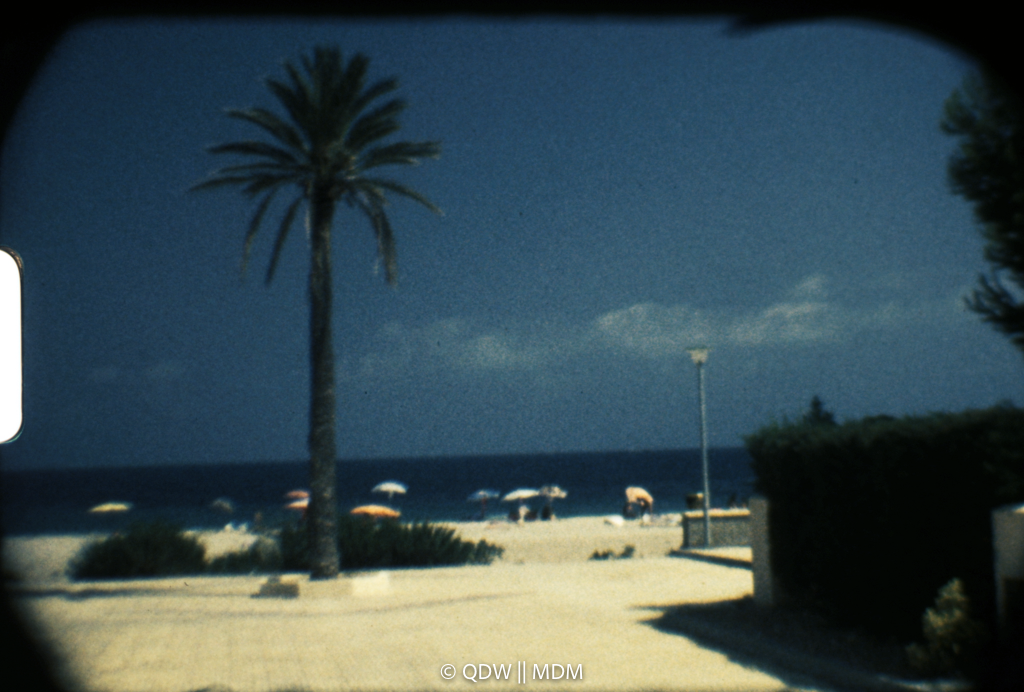 Frame 0153
