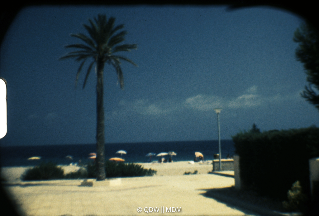 Frame 0156