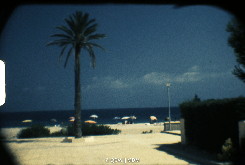 Frame 0159
