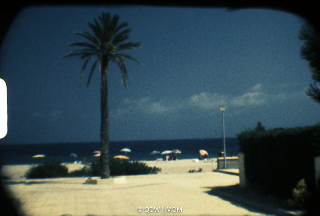 Frame 0160