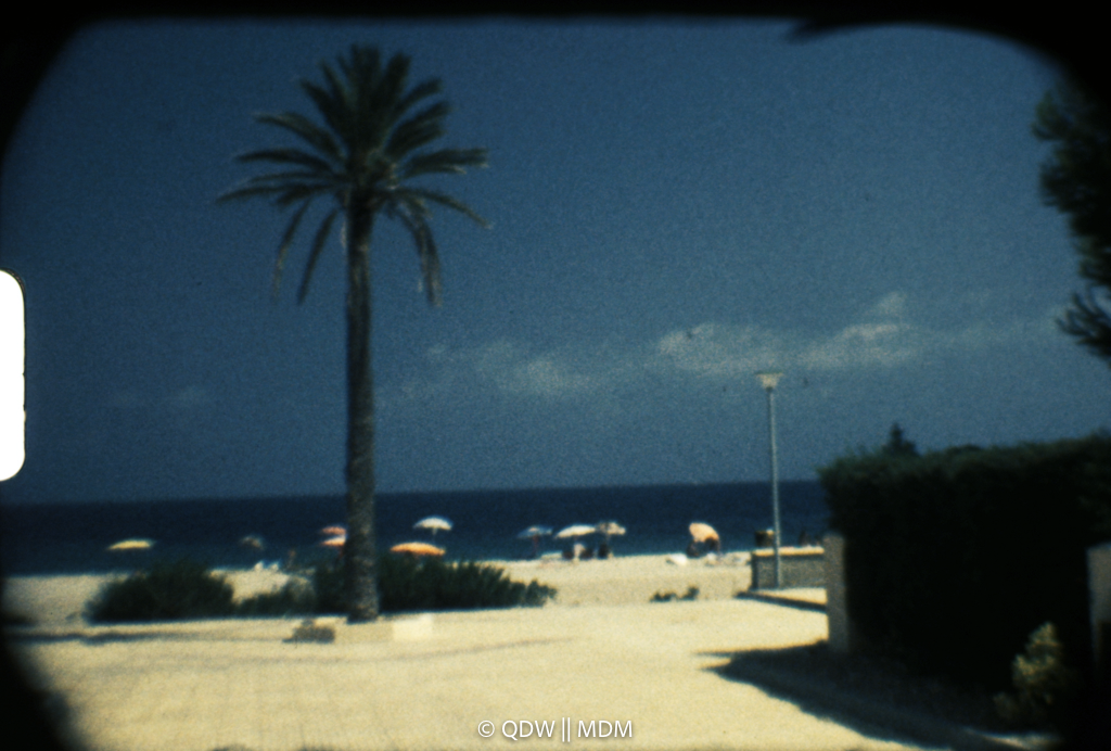 Frame 0161