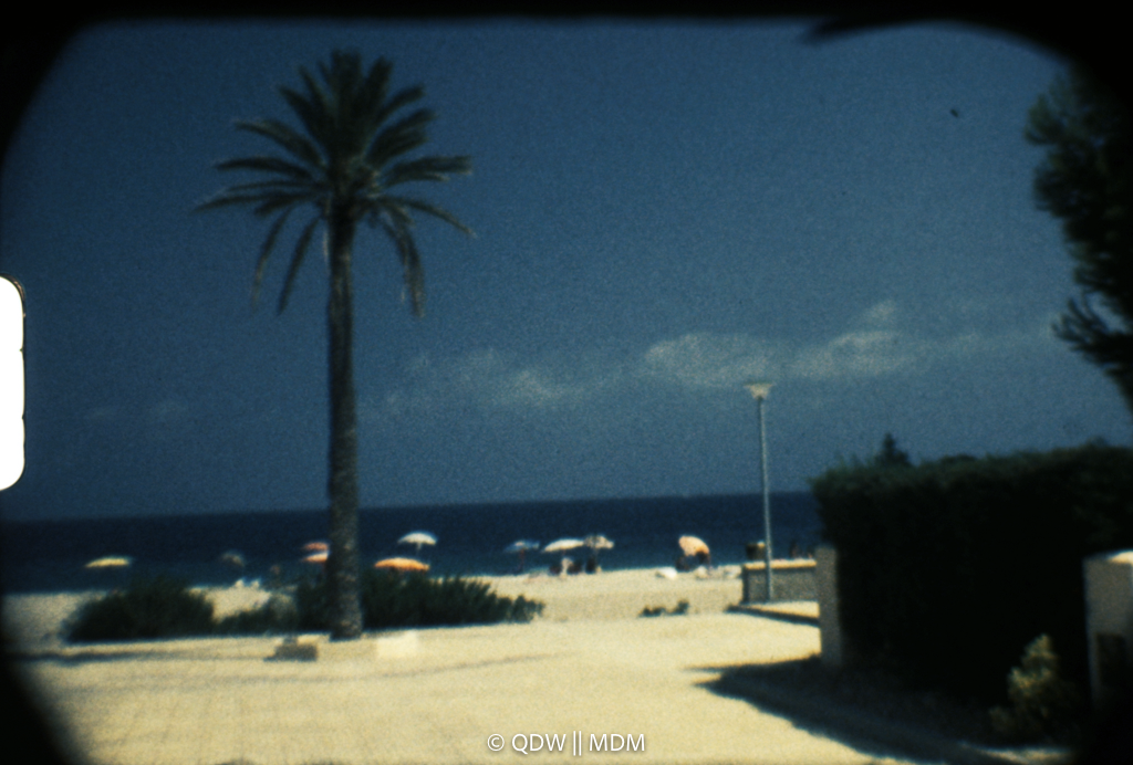 Frame 0165