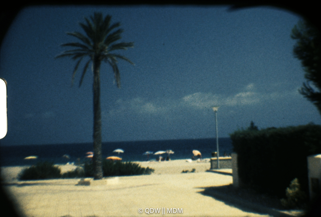 Frame 0167