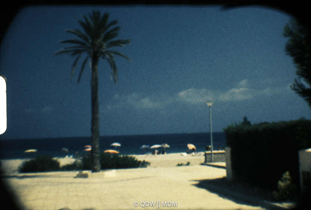 Frame 0168