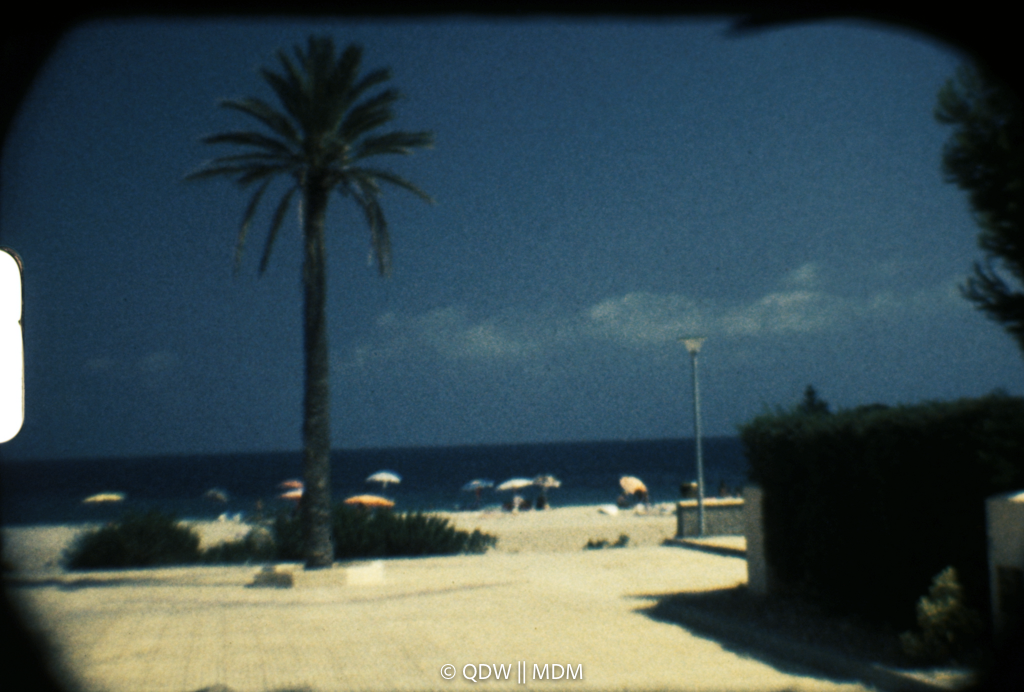 Frame 0170