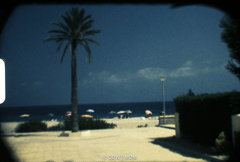 Frame 0176