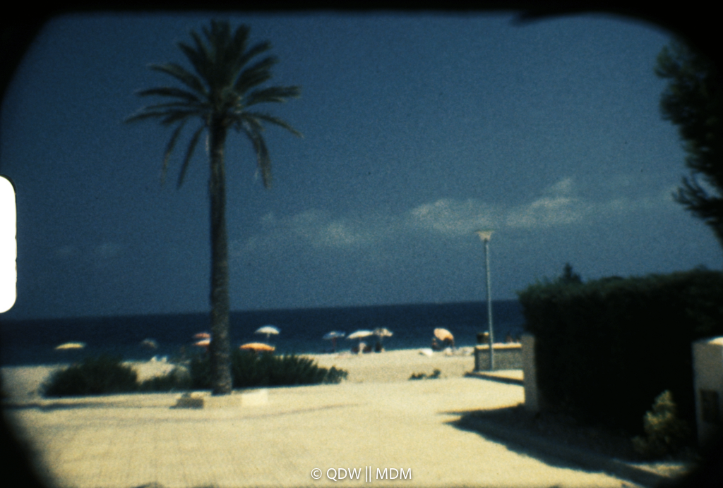 Frame 0181